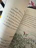 校校悅讀四年級 2025春季 沒有共產(chǎn)黨就沒有新中國永恒的旋律河北少年兒童出版社 讀詩的窗口推開窗子看見你安徽少年兒童出版社 森林報春森林報夏浙江少年兒童出版社 校校悅讀4年級4本套裝 曬單實拍圖