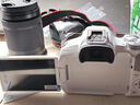 佳能 Canon EOS R RP R50 R6 R3 R5C R10 全畫幅二手微單相機(jī) 直播相機(jī) 佳能EOS R50白色 單機(jī)身 99成新 曬單實(shí)拍圖