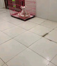 春上村下比熊專用羊奶雞蛋黃溶豆寵物哇米幼犬成犬老年犬零食訓(xùn)練獎(jiǎng)勵(lì) 狗狗零食 羊奶蛋黃溶豆2袋共60g 30g 曬單實(shí)拍圖