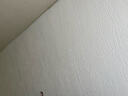 PANHOO新氣凝膠絕熱涂料 建筑外墻內(nèi)墻保溫隔熱 自刷環(huán)保水性涂料小藍(lán)桶 白色(氣凝膠絕熱涂料小藍(lán)桶) 20升裝 曬單實(shí)拍圖