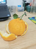 四川青見果凍橙新鮮橙子5斤水果當(dāng)季整箱38號(hào)橘子孕婦水果9斤 帶箱5斤【小果】 現(xiàn)摘現(xiàn)發(fā)【吃的新鮮】 曬單實(shí)拍圖
