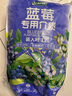 虹越（HONGYUE）家庭園藝專用營養(yǎng)土 透氣保肥花彩師系列多種植物種植專用介質(zhì)土 【藍莓種植】專用營養(yǎng)土12L 曬單實拍圖