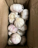 輝渠香山東紫白皮大蒜半 干蒜 新大蒜頭 調(diào)味蔬菜 山東大蒜凈重 3斤 （果經(jīng)35~50mm） 曬單實(shí)拍圖
