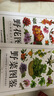 【包郵】含章·圖鑒系列（植物圖鑒） 全2冊 野花圖鑒+野菜圖鑒 定價(jià)84.8 曬單實(shí)拍圖