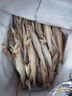 鹿凌青龍頭魚(yú) 東海鮮活速凍豆腐魚(yú) 新鮮海捕龍魚(yú)冷凍絲丁魚(yú)九肚魚(yú) 【新鮮豆腐魚(yú)】4000g(1000/盒) 15條左右/每斤 曬單實(shí)拍圖