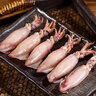 泰明揚(yáng)滿籽海兔 鮮凍筆管魚籽烏海兔子 小魷魚烏賊火鍋燒烤食材 全籽海兔帶冰 3斤(凈重)  65% 曬單實(shí)拍圖
