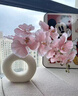 創(chuàng)京懿選蝴蝶蘭仿真花客廳玄關(guān)裝飾品假花擺設(shè)高端餐桌花卉輕奢花藝擺件 粉色9頭壓紋蝴蝶蘭+陶瓷甜甜圈花 曬單實拍圖