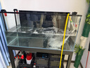 光特億T1+PTC龍魚缸龜缸加熱棒自動恒溫加溫棒水族箱加溫變頻省電 T1+1000W【PTC加熱棒】【順豐快遞】 曬單實拍圖