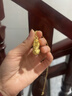 中國珠寶招財貔貅黃金吊墜男士純足金吞金獸項鏈七夕情人節(jié)禮物送男友老公 足金招米納福貔貅吊墜+品牌禮盒 金重約1.1g，贈S925銀鏈 曬單實拍圖