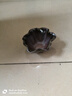 陶迷（TAOMI） 清水柴燒茶杯個性主人杯創(chuàng)意手捏花骨朵品茗杯陶瓷茶盞茶具單杯 清水燒荷葉杯 曬單實拍圖
