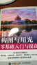 攝影構(gòu)圖與用光零基礎(chǔ)入門與提高 人民郵電出版社 鄭志強(qiáng) 編 新華正版書籍包郵 圖書 曬單實(shí)拍圖