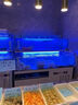 魚(yú)小森移動(dòng)海鮮池商用制冷一體機超市酒店飯店魚(yú)池海鮮魚(yú)缸海鮮缸貝類(lèi)池 1.0x0.8x1.3m 魚(yú)小森 P2 基礎款 24h活氧循環(huán)過(guò)濾燈光系統 曬單實(shí)拍圖