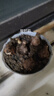 綠植彼岸花種子曼珠沙華盆栽彼岸花種球石蒜花室內(nèi)四季種花卉 寫-粉色 5個(gè)彼岸花種球+盆+肥+生根粉 曬單實(shí)拍圖