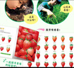 【點讀版圖書】你好月亮 點讀版圖書 海豚繪本花園 軟皮平裝繪本 睡前晚安故事繪本 (支持小雞球球豚小蒙 點讀筆需另外購買) 生日禮物 心喜閱童書   六一兒童節(jié)禮物 曬單實拍圖