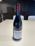 盧米酒莊（G Roumier）莫雷圣丹尼布西耶一級(jí)園干紅2014年名莊送禮 冰袋 曬單實(shí)拍圖