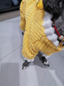小狗狗衣服寵物秋冬款泰迪比熊小型犬約克夏博美四腳絨衣可牽引 黃色 (可牽引) L號背長(cháng)35(建議8-10斤) 曬單實(shí)拍圖