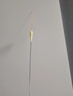 川澤黃尾漂鯽鯉魚(yú)漂高靈敏醒目翻身快長(cháng)腳短尾黑坑浮標野釣競技浮漂 CC3細尾【速釣】吃鉛1.5-1.9g 1號 曬單實(shí)拍圖