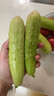 感光之水順豐海陽(yáng)白玉黃瓜 新鮮當季蔬菜山東牛奶水果黃瓜現摘玉女旱青瓜 凈重 3斤 嘗鮮裝順豐包郵 曬單實(shí)拍圖