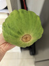 中鮮生云南新鮮姜柄瓜5斤小麥瓜新鮮蔬菜生鮮新鮮現摘當季倭瓜 姜柄瓜 3斤 曬單實(shí)拍圖