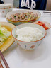 叮旦日式陶瓷碗飯碗2025新款家用高顏值釉下彩餐具復(fù)古米飯碗湯碗面碗 游魚(yú)丨4.5英寸飯碗【10個(gè)裝】 曬單實(shí)拍圖