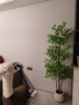 未歐南天竹仿真綠植盆栽高端輕奢室內(nèi)客廳裝飾擺件大型造景落地假花樹 180cm 4桿南天竹 曬單實(shí)拍圖