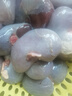 羊腰子去油凈羔羊腎羊內(nèi)腰爆炒燒烤食材生羊腰新鮮清真順豐包郵 5斤【約45個(gè)左右】 曬單實(shí)拍圖