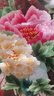 梅子刺繡蘇繡精品客廳掛畫(huà)花卉牡丹蝴蝶純手工蠶絲線(xiàn)刺繡新中式書(shū)房裝飾畫(huà) 6833幸福牡丹 65x125cm 曬單實(shí)拍圖