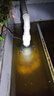 老漁匠魚池水泵循環(huán)過濾抽水器池塘假山花園噴泉大流量戶外不銹鋼潛水泵 【大流量-高揚(yáng)程-不銹鋼水泵50W】22噸/H 曬單實(shí)拍圖