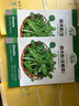 壽禾家庭四季蔬菜種子大全種籽冬天陽臺(tái)蔬菜西紅柿種孑批發(fā)菠菜韭菜 西洋菜(豆瓣菜)種子1000粒/袋 曬單實(shí)拍圖