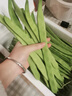 云南新鮮大扁蕓豆蕓豆角無(wú)絲豆四季豆嫩蕓豆現摘當季新鮮蔬菜 山 扁豆角一斤 曬單實(shí)拍圖