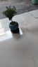 小葉赤楠老樁盆栽盆景迷你植物室內花卉辦公室桌面小綠植好養(yǎng)四季 赤楠+藍冰圓球瓷盆送托盤送苔蘚 曬單實拍圖