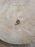 圓形松木砧板商用酒店實(shí)木剁骨菜墩家用抗菌切菜板防霉砍骨頭案板 直徑40cm*厚度8cm加固鋼圈 曬單實(shí)拍圖