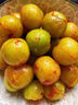 夢(mèng)茜兒順豐 正宗錢(qián)排三華李 紅心李子禮盒裝綠心三月新鮮信宜酸甜脆 三月李 5斤 小果5-10g【普快】 +辣椒鹽 酸辣可口 香味四溢 曬單實(shí)拍圖