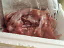 克雷蒙 兔里脊肉新鮮速凍無骨兔子肉農(nóng)家散養(yǎng)兔燒烤食材兔肉生鮮 10斤兔里脊肉 曬單實拍圖