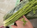 鑫果滋【順豐】山東特產(chǎn)正宗章丘鮑芹 嫩芹菜新鮮蔬菜芹菜生吃沙拉可榨 順豐 4斤 【精品鮑芹芽子】 推薦 曬單實拍圖