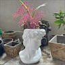 創(chuàng)意人像復(fù)古歐式藝術(shù)花瓶樹(shù)脂頭像花盆大衛(wèi)石膏雕塑像插花器擺件 白色 曬單實(shí)拍圖