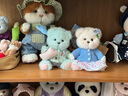 莉娜熊（TeddyTales）故事款小熊玩偶毛絨玩具泰迪手作熊公仔娃娃七夕情人節(jié)禮物 貪睡Sleepyhead 小號20cm 禮盒裝 曬單實(shí)拍圖