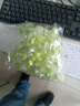 元聚祥【肺部清道夫】正宗海鹽檸檬梨膏糖化痰清潤涼喉薄荷硬糖休閑食品 [檸檬+梨汁+甘草+枇杷+藿香+胖 買10顆送10顆【共20顆】 曬單實(shí)拍圖