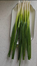 新鮮東北小蔥農家自種特產(chǎn)新鮮蔬菜小水蔥細蔥蘸醬蔥山東倉發(fā)貨 【蘸醬生吃】 0g 新鮮小蔥帶箱【3斤】 曬單實(shí)拍圖
