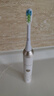 O.Sir適配ROAMAN羅曼電動牙刷頭T10/T5/T6/T3/V5/T10S/ST051/D30/T10X-B/E7替換刷頭 【日常清潔】白色3支裝 曬單實拍圖