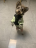 優(yōu)佰納瑞狗糧20斤裝小型犬狗糧專用全價成犬幼犬糧通用型10kg 雪納瑞成犬20斤（5斤*4包） 曬單實拍圖