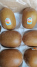佳沛（zespri）陽(yáng)光金奇異果黃心獼猴桃新西蘭進(jìn)口巨無(wú)霸當季新鮮水果禮盒 16枚【精美禮盒】80％人選擇 大果（單果115-126g） 曬單實(shí)拍圖