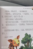 【官方正版】小鹿斑比注音版 正版書(shū)小學(xué)生注音版三年級一年級二年級課外閱讀帶拼音 小鹿斑比 官方正版 曬單實(shí)拍圖