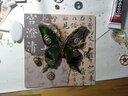 藝馨維尼機(jī)械蝴蝶標(biāo)本diy會動綠帶翠鳳蝶朋克風(fēng)相框生日禮物展示畫裝飾畫 黑框【材料包-國風(fēng)射燈款】含真 其他正方形尺寸 曬單實(shí)拍圖