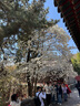 DZZIT【愛心老花】地素短外套夏季提花工藝牛仔上衣女 藍(lán)色(外套) M 曬單實拍圖