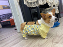 寵物狗狗肚兜四腳衣全包防著(zhù)涼雨衣柯基四季護肚衣防水防臟防塵褲 小象四腳肚兜（防塵褲） 4XL【建議29-36斤】 曬單實(shí)拍圖