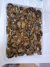 蝦先生湛江生蠔干牡蠣干海鮮海產(chǎn)干貨150頭規(guī)格海蠣子蠔豉煲湯煮粥食材 禮盒裝生蠔干500g 曬單實(shí)拍圖