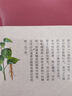 抖音同款】中醫(yī)四大名著全套原著版 珍藏版正版全六冊(cè)無(wú)刪減 神農(nóng)本草經(jīng) 黃帝內(nèi)經(jīng)靈樞篇素問(wèn)篇 傷寒論 黃帝八十一難經(jīng) 金匱要略中醫(yī)經(jīng)典精裝硬殼布面 【單本】神農(nóng)本草經(jīng)（無(wú)刪減） 曬單實(shí)拍圖