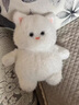 微光里2025新款毛絨玩具公仔白色貓咪玩偶可愛(ài)軟萌貓咪送女生日禮物 白色貓咪玩偶【45cm】 曬單實(shí)拍圖