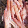 潮海堂深海海釣魷魚鮮活活凍海兔子烏賊生吃無泡水海鮮大筆管海鮮送禮 1袋超大魷魚 400g(凈重) 曬單實(shí)拍圖